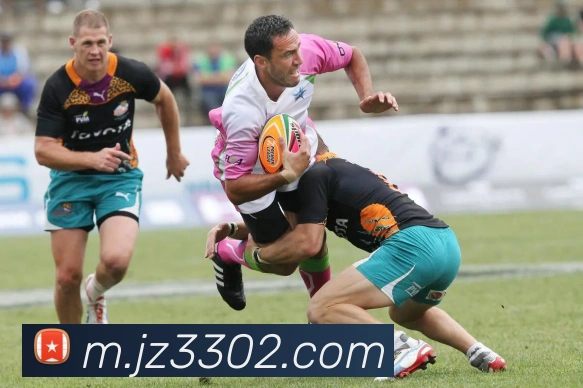 九州娱乐官网平台服务体系